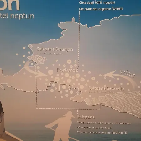 Vila Townhouse Rustik *